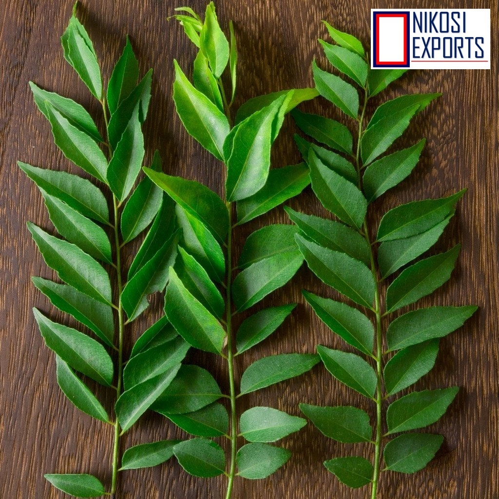 Organic Curry Leaf Shelf Life: 1 Week
