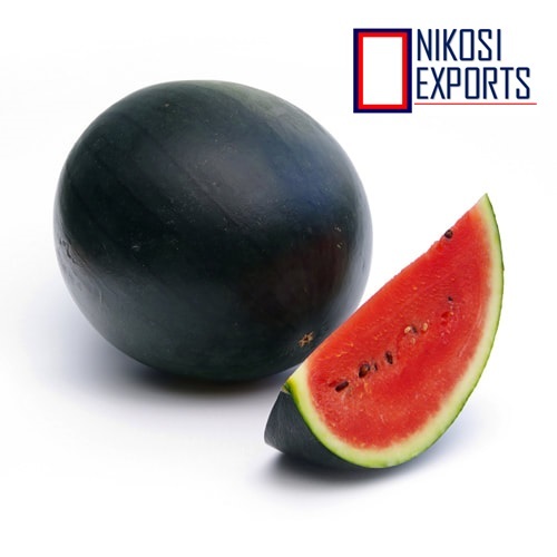 Green Ice Box- Watermelon