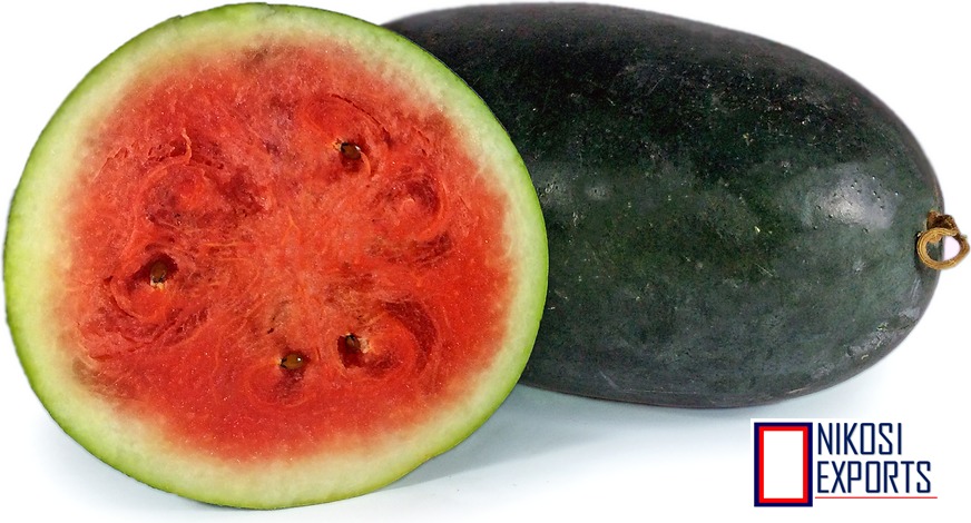 Green Ice Box- Watermelon