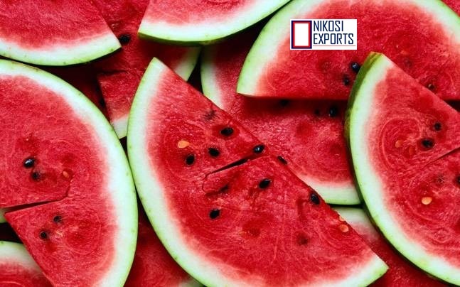 Green Ice Box- Watermelon