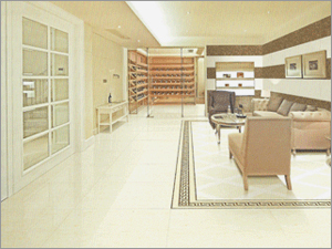 पॉलिश विट्रिफाइड टाइल्स