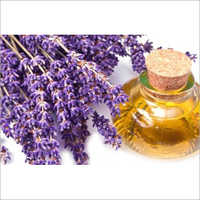 Lavender Oil-France