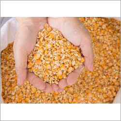 Maize Corn - 99% Purity, Dried, Yellow Color | Organic Quality for Animal Feed and Human Edibles