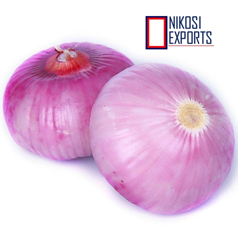 Peeled Onion Shelf Life: 1 Months