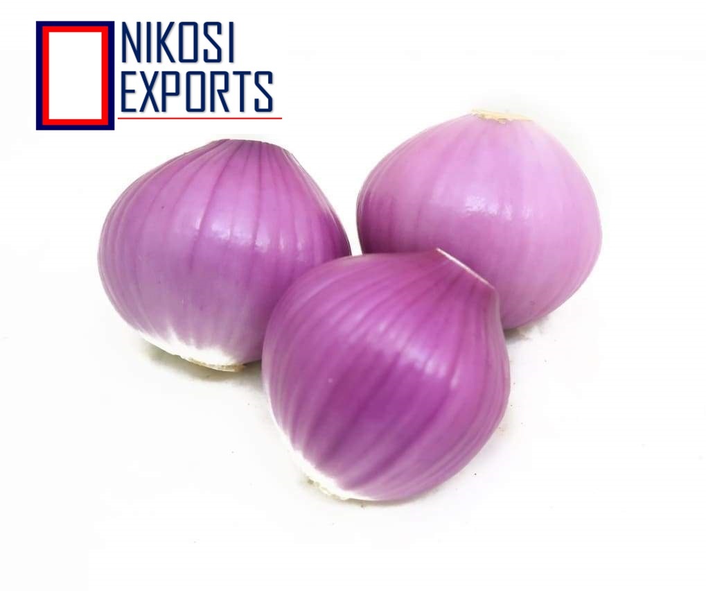 Peeled Onion Shelf Life: 1 Months