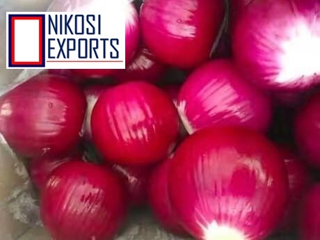 Fresh A Grade Big Red Onion Peeled & Washed Shelf Life: 1 Months