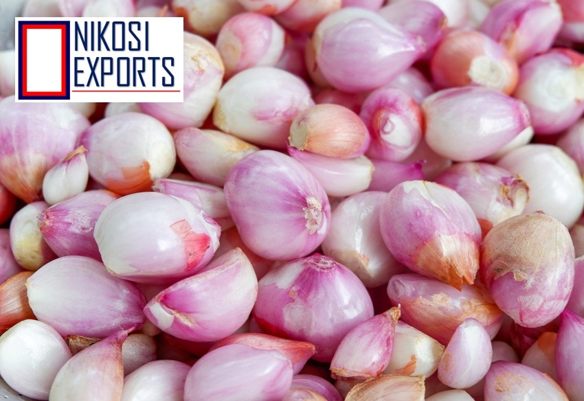 Peeled Sambar Onions Shelf Life: 1 Months