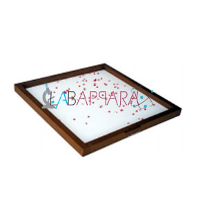 Study Of The Random Decay And Determination Of Decay Constant Using The Statistical Board Experimental Set Up Labappara