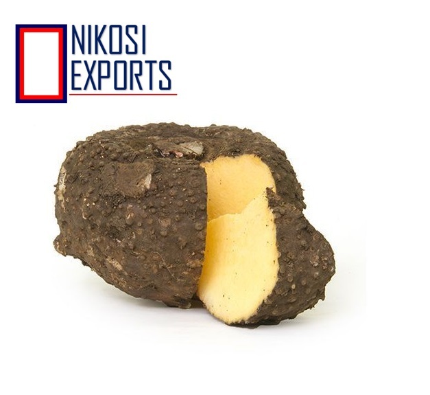 Elephant Foot Yam - Non-imported Suran Variety, 11-12kg Jute Bag Packing | 3 Week Shelf Life, Clean Quality, Direct Farm Supply