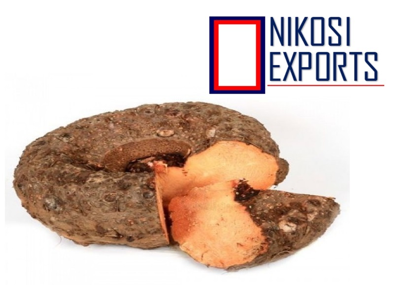 Elephant Foot Yam - Non-imported Suran Variety, 11-12kg Jute Bag Packing | 3 Week Shelf Life, Clean Quality, Direct Farm Supply