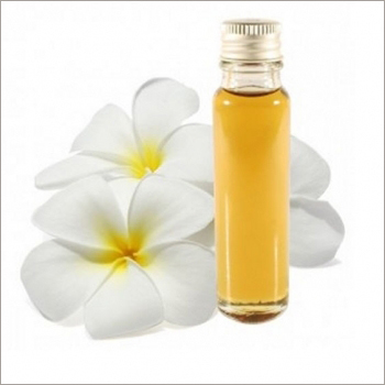 Motia Oil