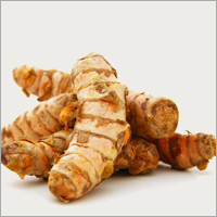 Turmeric