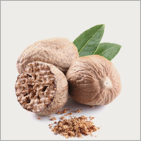 Nutmeg