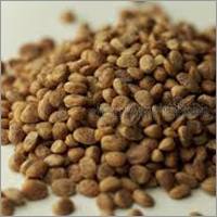 Dried Buchanania Lanzan