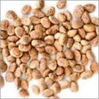 Dried Buchanania Chironji Nuts