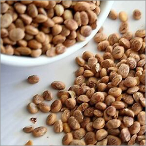 Dried Chironji Nut
