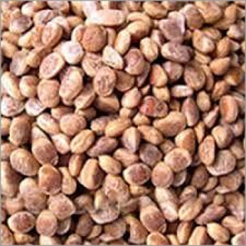 Dry Fruits Buchanania Lanzan Chironji