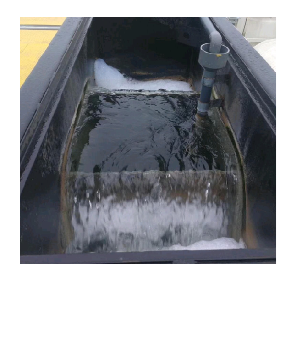 Sludge Dewatering System