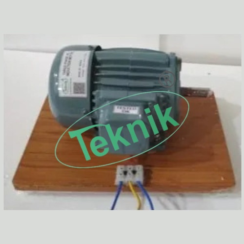 Three- Phase Squirrel Cage Motor - Color: Grey
