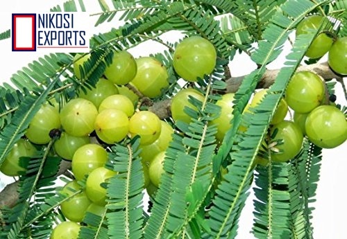 Green Organic Amla