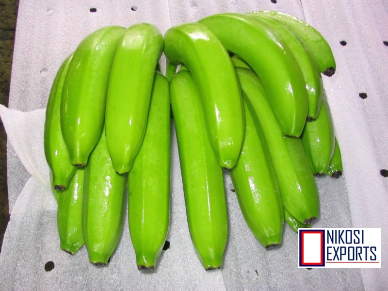 Green Cavendish Bananas Origin: Tamilnadu