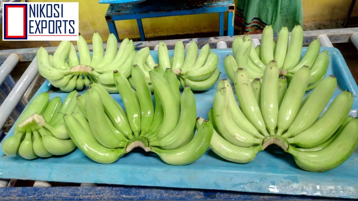 Green Raw Banana