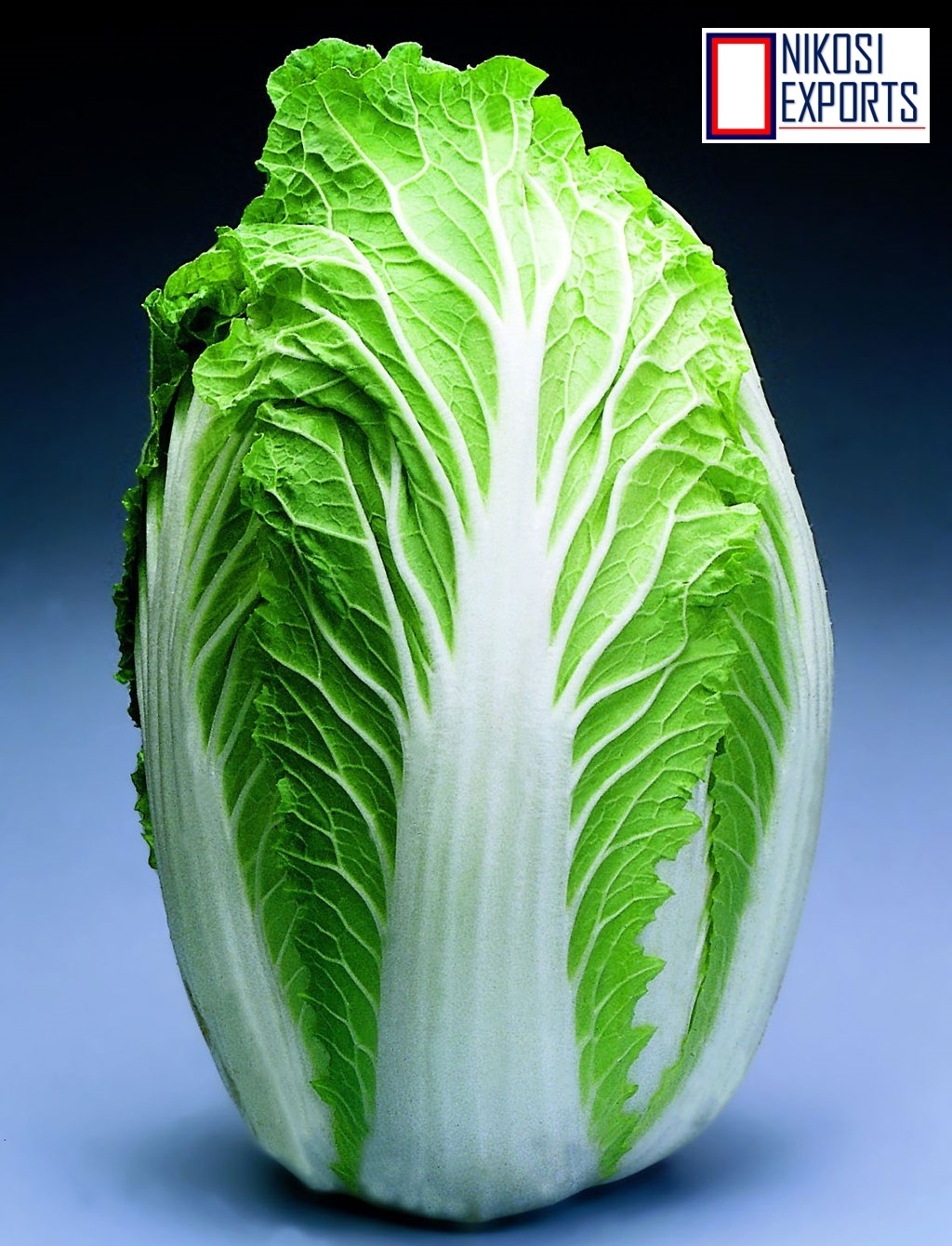 Green Napa Cabbage Shelf Life: 3 Week