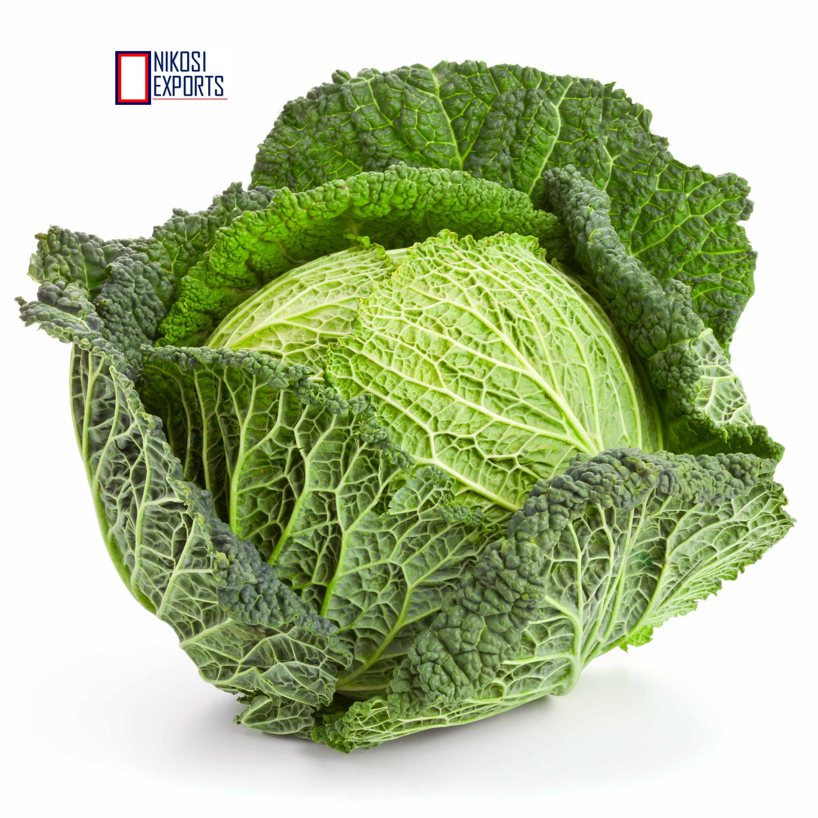 Green Savoy Cabbage Shelf Life: 3 Week