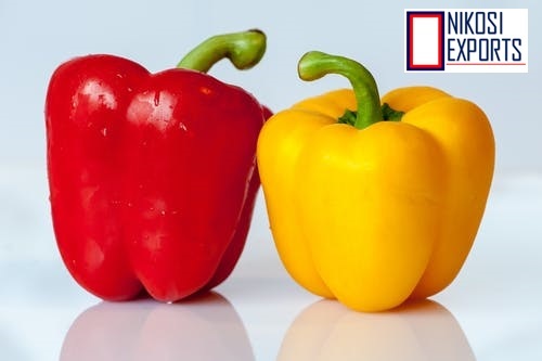 Yellow Capsicum Moisture (%): 85%