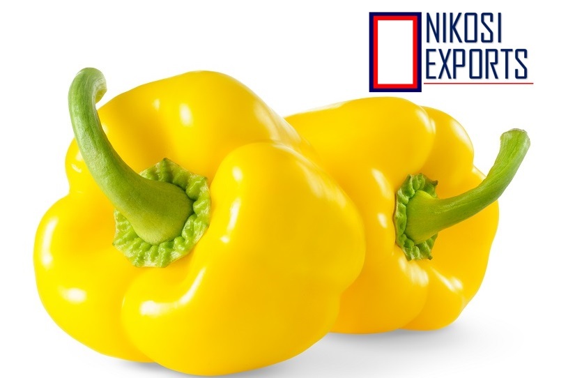 Yellow Capsicum Moisture (%): 85%