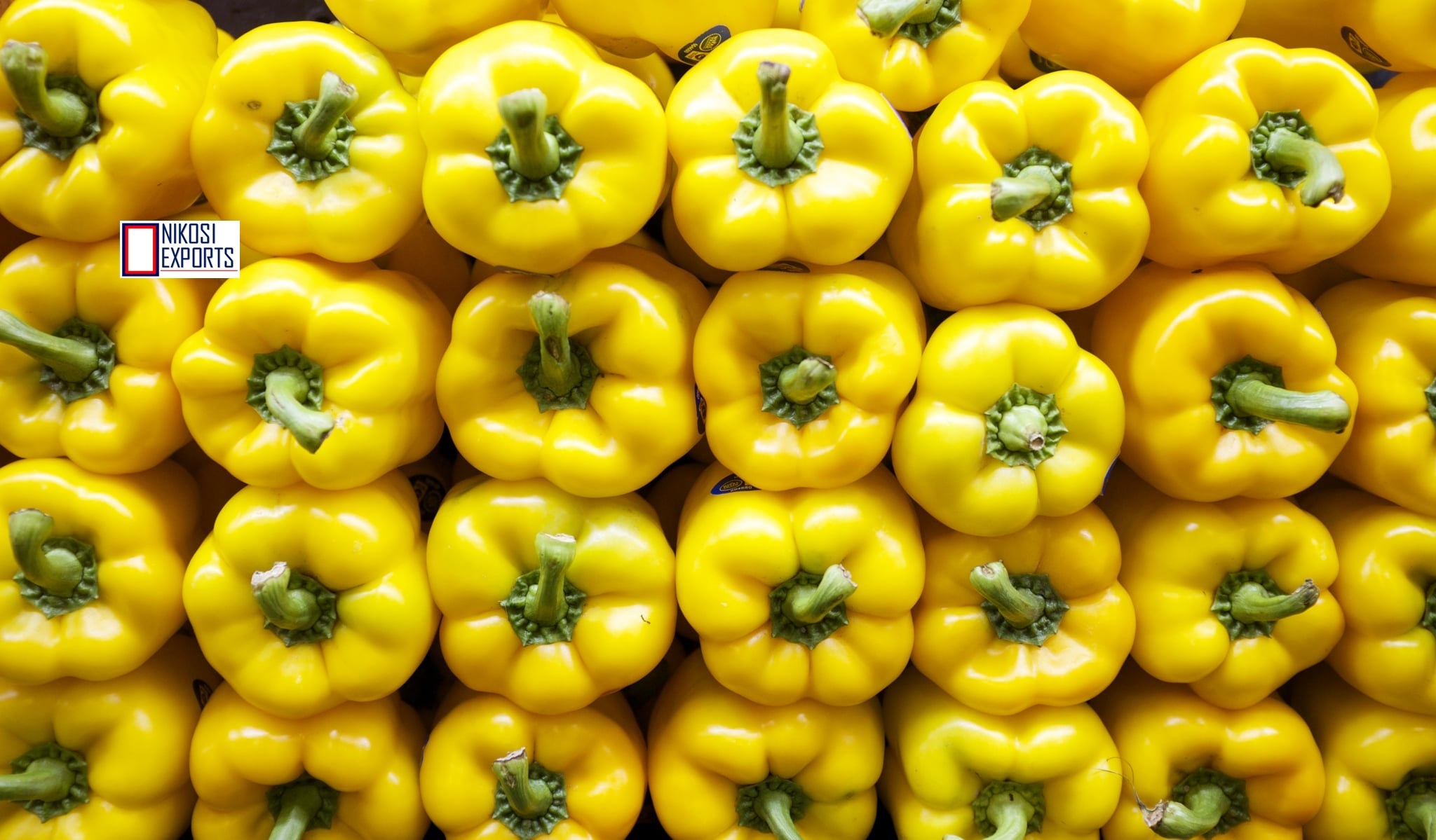Yellow Capsicum Moisture (%): 85%