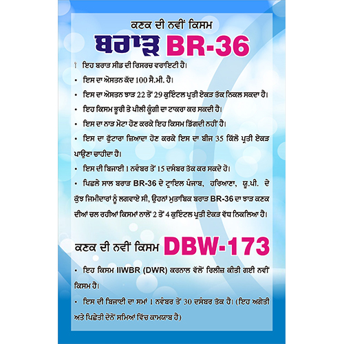 गेहूँ की बरार