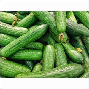 Fresh Cucumber