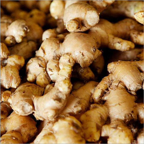 Fresh Ginger - Organic, Variable Size, Beige | Aromatic, Fresh, Healthy, High Quality, Spicy, Versatile, Bulk Packaging