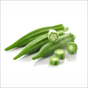 Fresh Okra - 5-8 Inches, Green Color | Slimy Texture, Mild Taste, Pointed Shape
