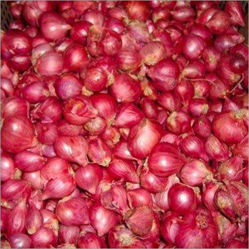 Fresh Onion