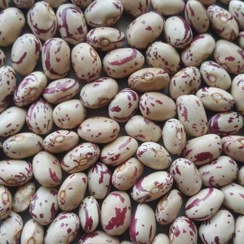 किडनी बीन्स 