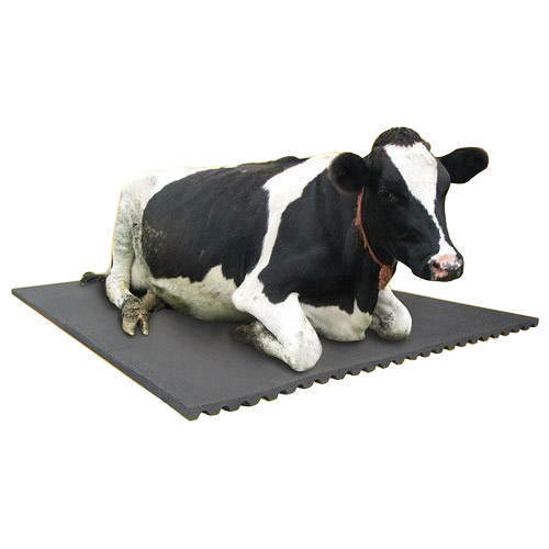 Black Cow Mat