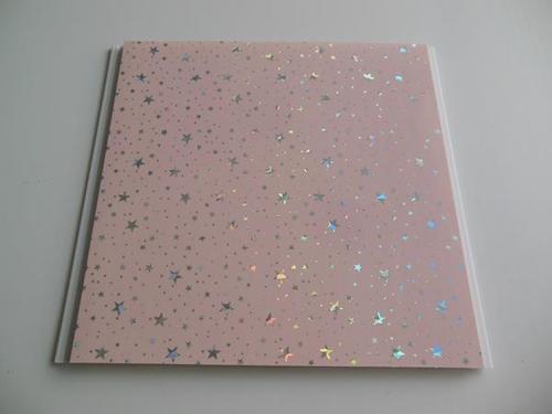 ध्वनिक झूठी छत पीवीसी पैनल