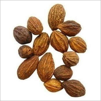 टर्मिनालिया चेबुला