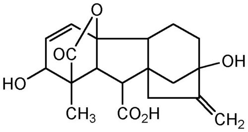 Gibberelic Acid 90% Tech - Cas No: 77-24-1