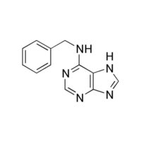  6-बेंज़िल एमिनोपुरिन 98% टेक (6BA - BAP) 