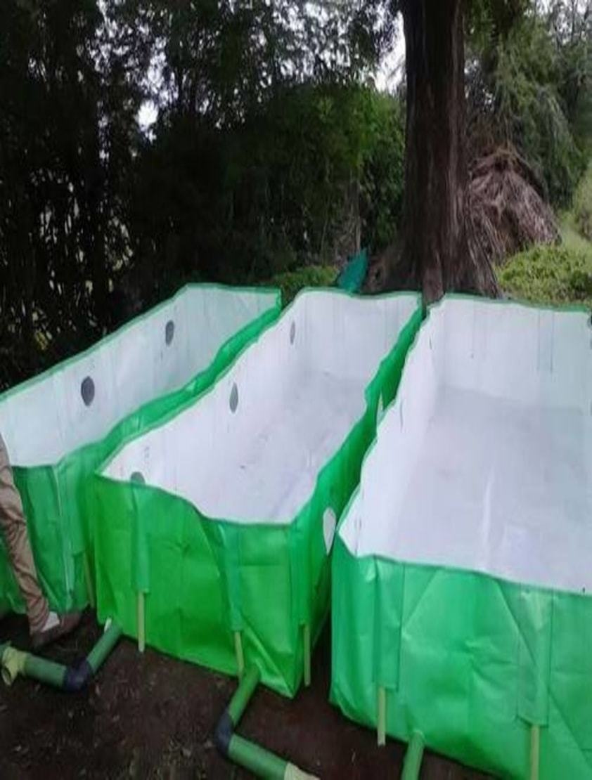 Hdpe Vermi Bed