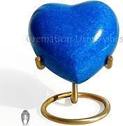 Blue Heart Twilight Morning Glory