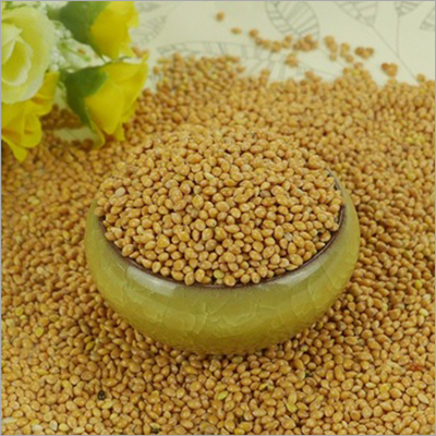 Common Broom Corn Millet