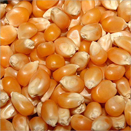 पॉपकॉर्न