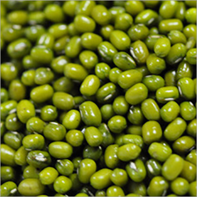 Green Mung Beans - Whole, Common Variety | High Protein, Essential Amino Acids, Fiber-rich, Supports Digestive Health, Beneficial For Pregnant Women