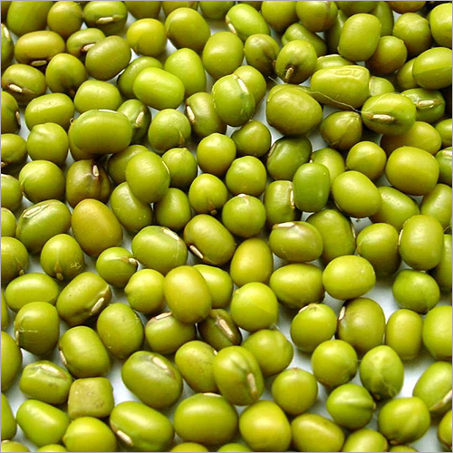 Common Moong Dal Green Gram