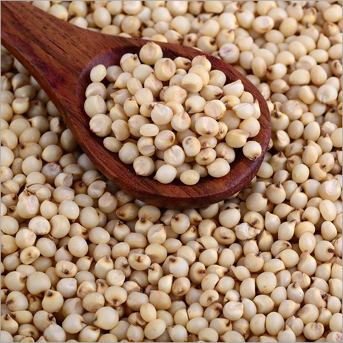Common Sorghum Pulses
