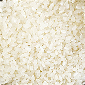 सोना मसूरी सफेद चावल